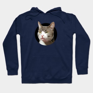 Sarcastic, indifferent cat...so, what? Hoodie